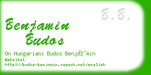 benjamin budos business card